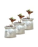 Mini Çiçek Saksı Küçük Sukulent Gümüş Kaktüs Saksısı 3lü Set Kese Model